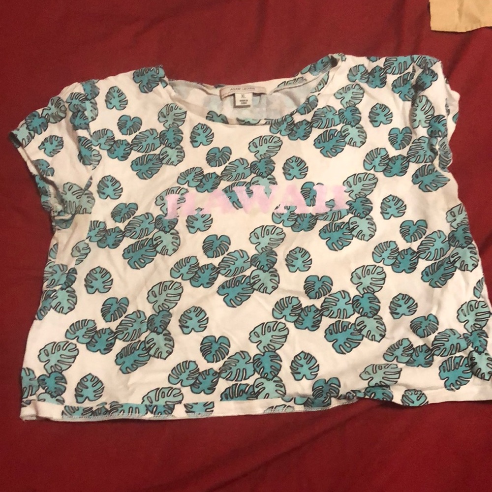 Hawaii 🌺 Adam Levine crop top